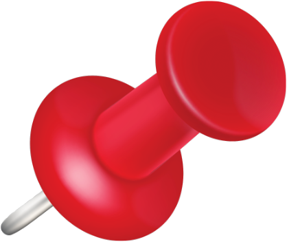 Pin